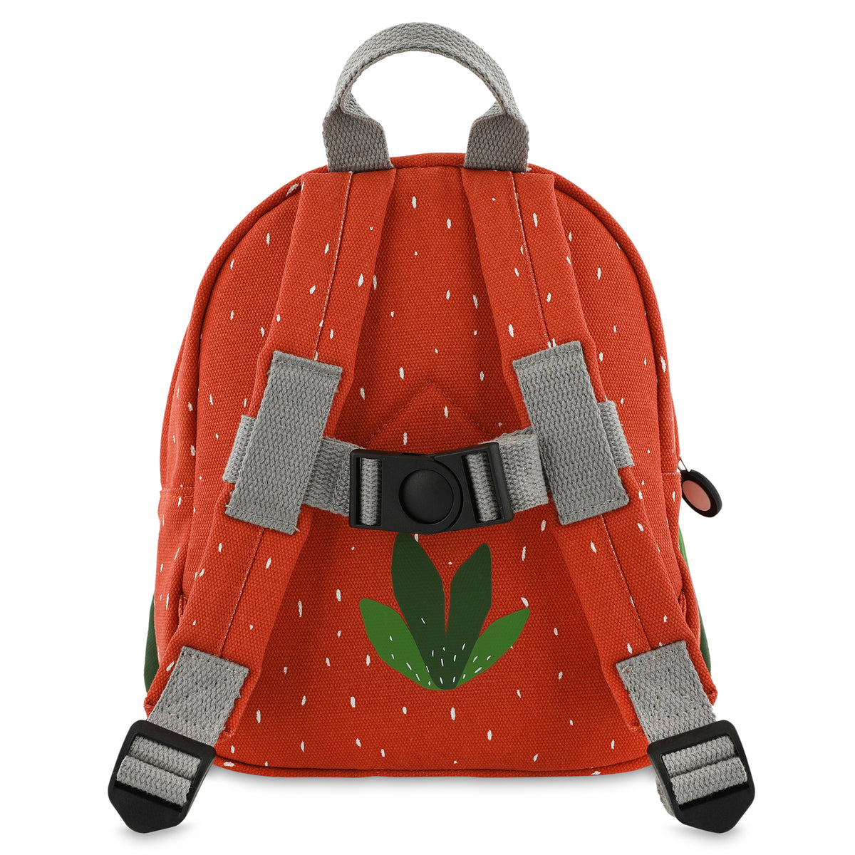 Backpack | Mr. Parrot