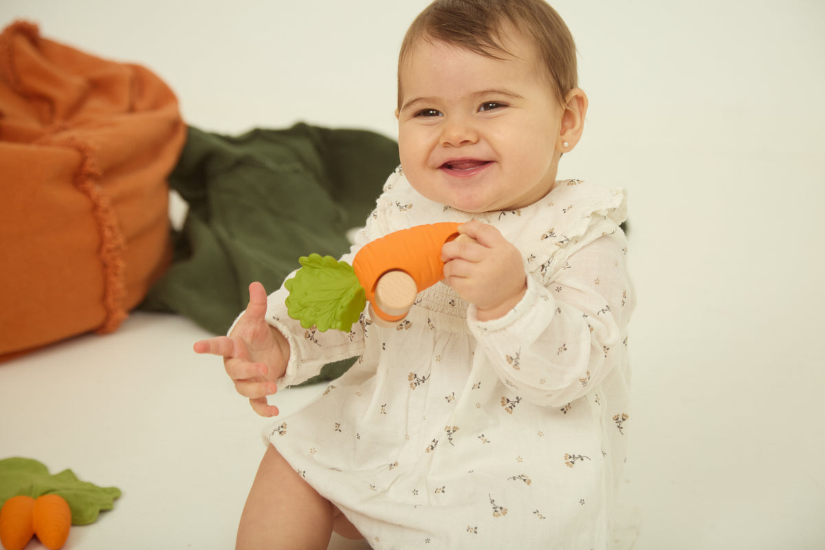 Cathy the Carrot Baby Car