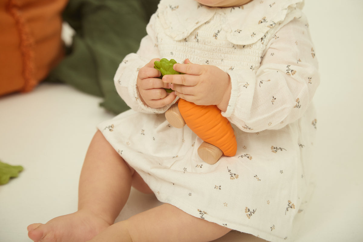 Cathy the Carrot Baby Car